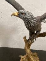 Bronzefigur -Tierfigur -Bronze Adler auf Marmorsockel mit Künstlersignatur – Bild 10